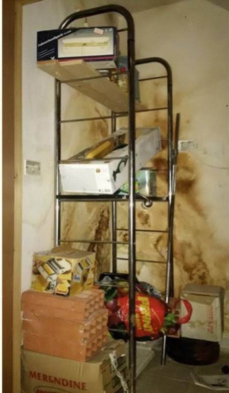 immagine annuncio 1 di 12
