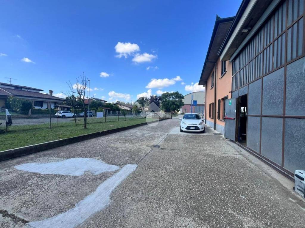 immagine annuncio 6 di 15