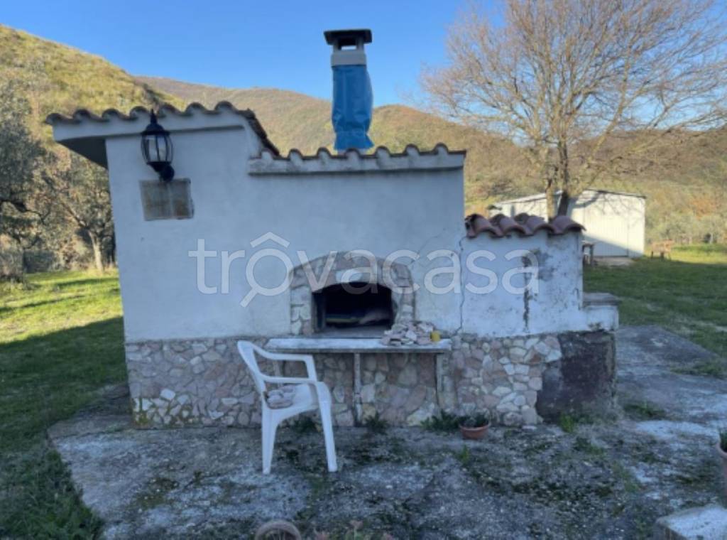 immagine annuncio 11 di 13