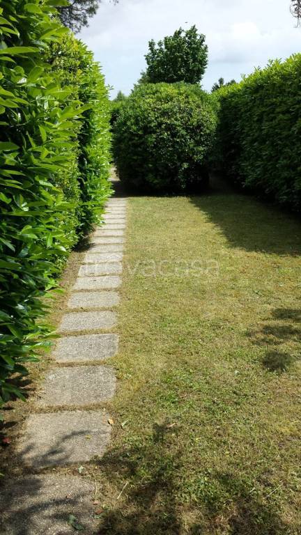 immagine annuncio 7 di 13