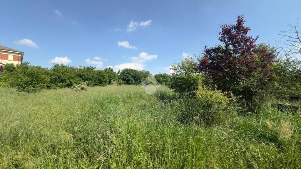 immagine annuncio 4 di 7