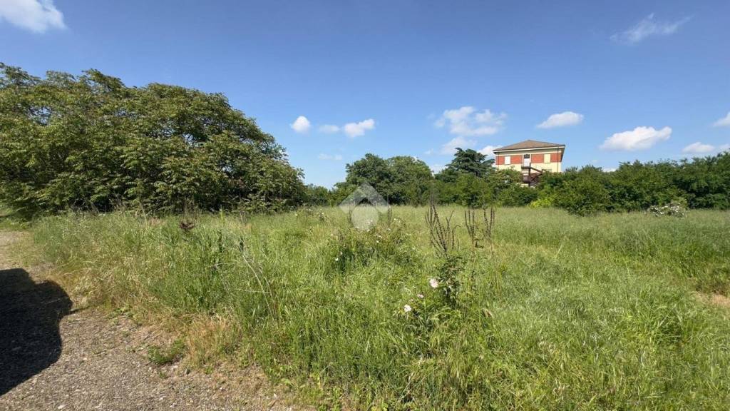 immagine annuncio 6 di 7