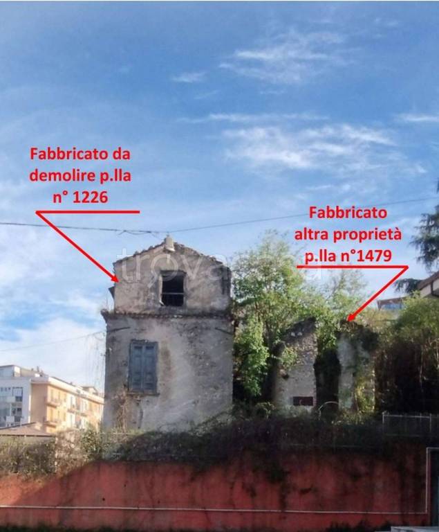 immagine annuncio 3 di 12