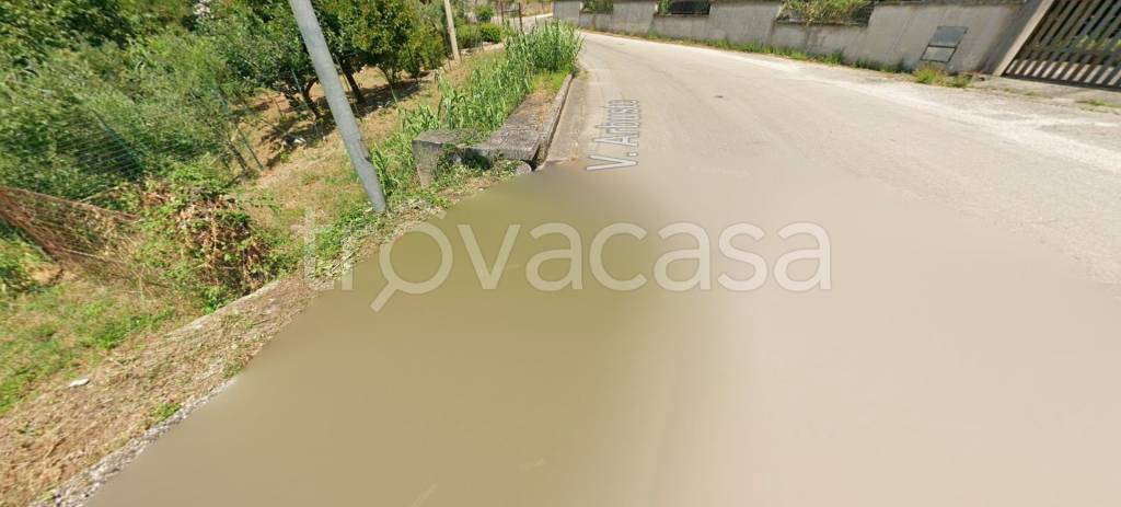 immagine annuncio 11 di 14