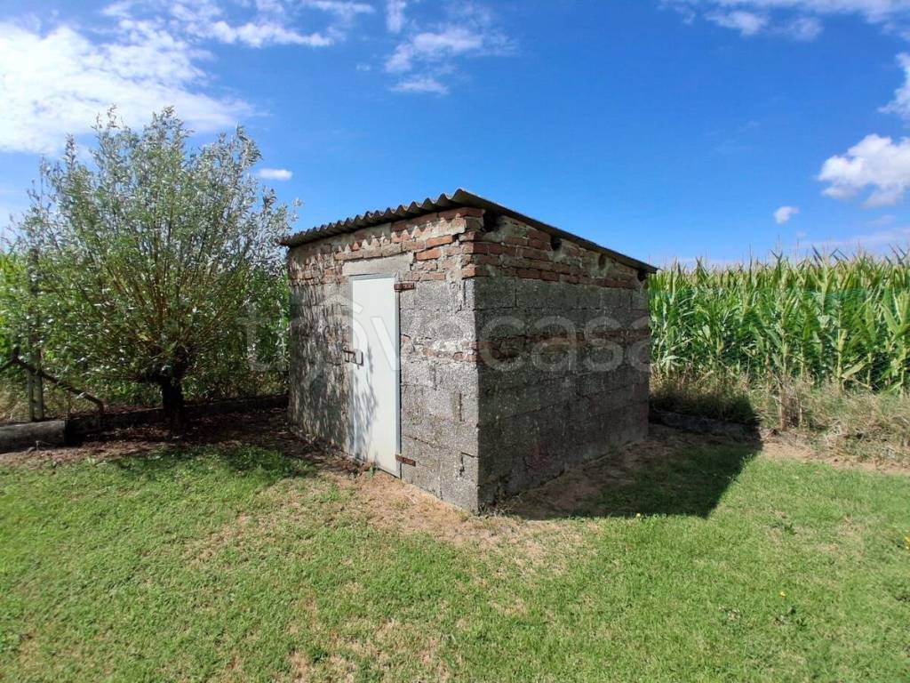 immagine annuncio 10 di 15