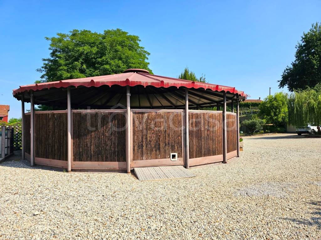 immagine annuncio 2 di 15