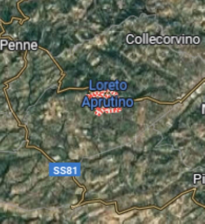immagine annuncio 7 di 12