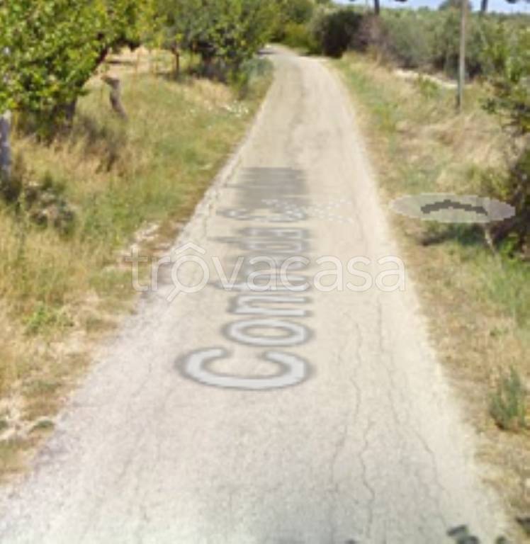 immagine annuncio 3 di 12