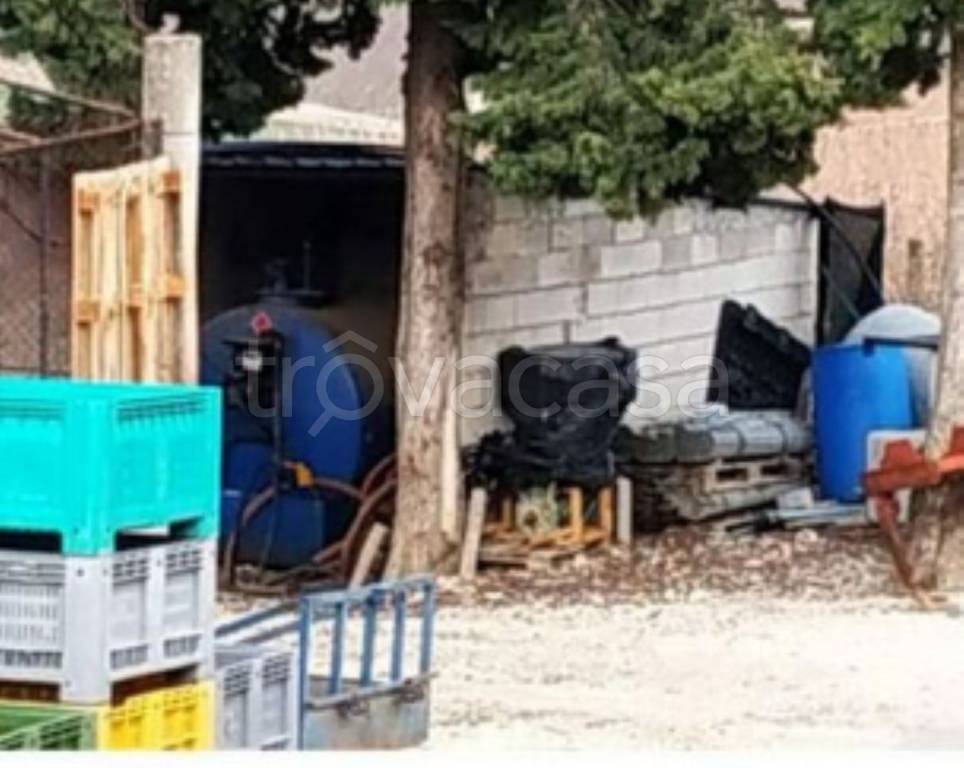 immagine annuncio 11 di 13