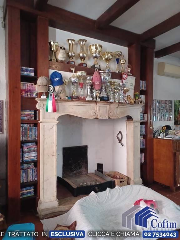 immagine annuncio 12 di 15