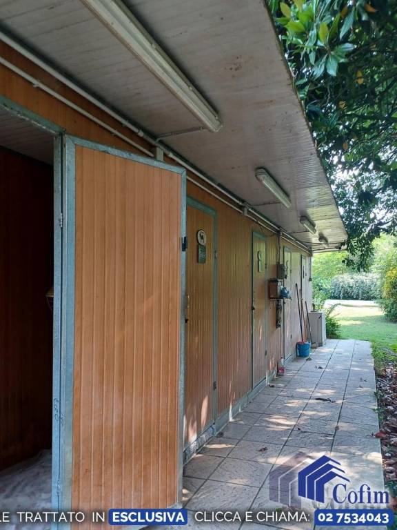 immagine annuncio 7 di 15