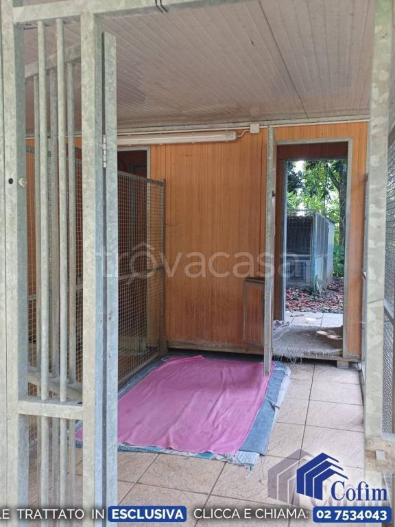 immagine annuncio 5 di 15