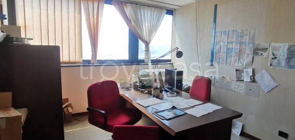 immagine annuncio 10 di 14