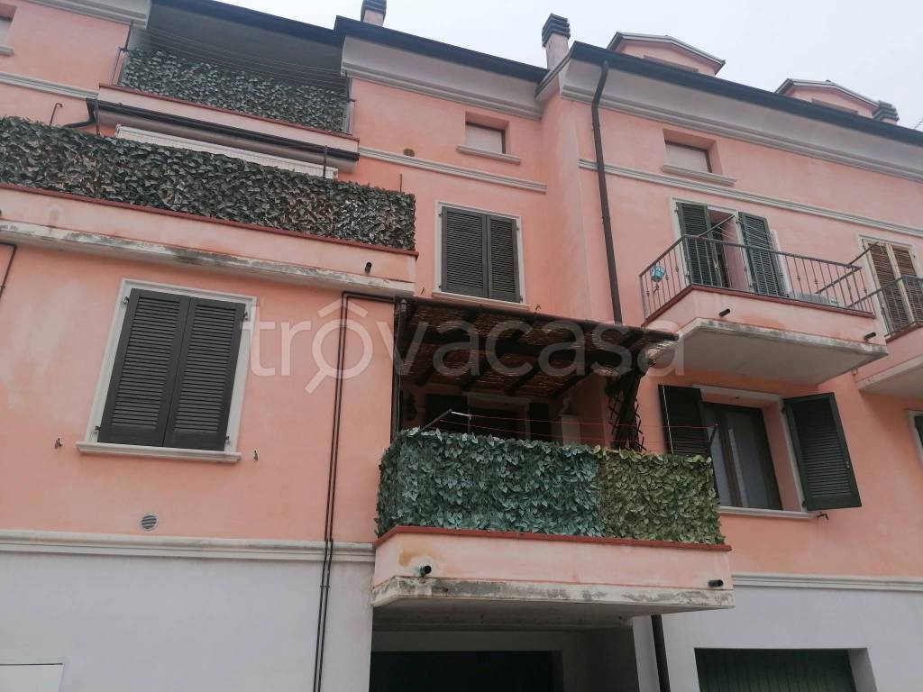 immagine annuncio 1 di 14