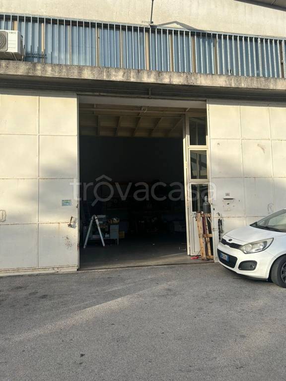 immagine annuncio 3 di 9