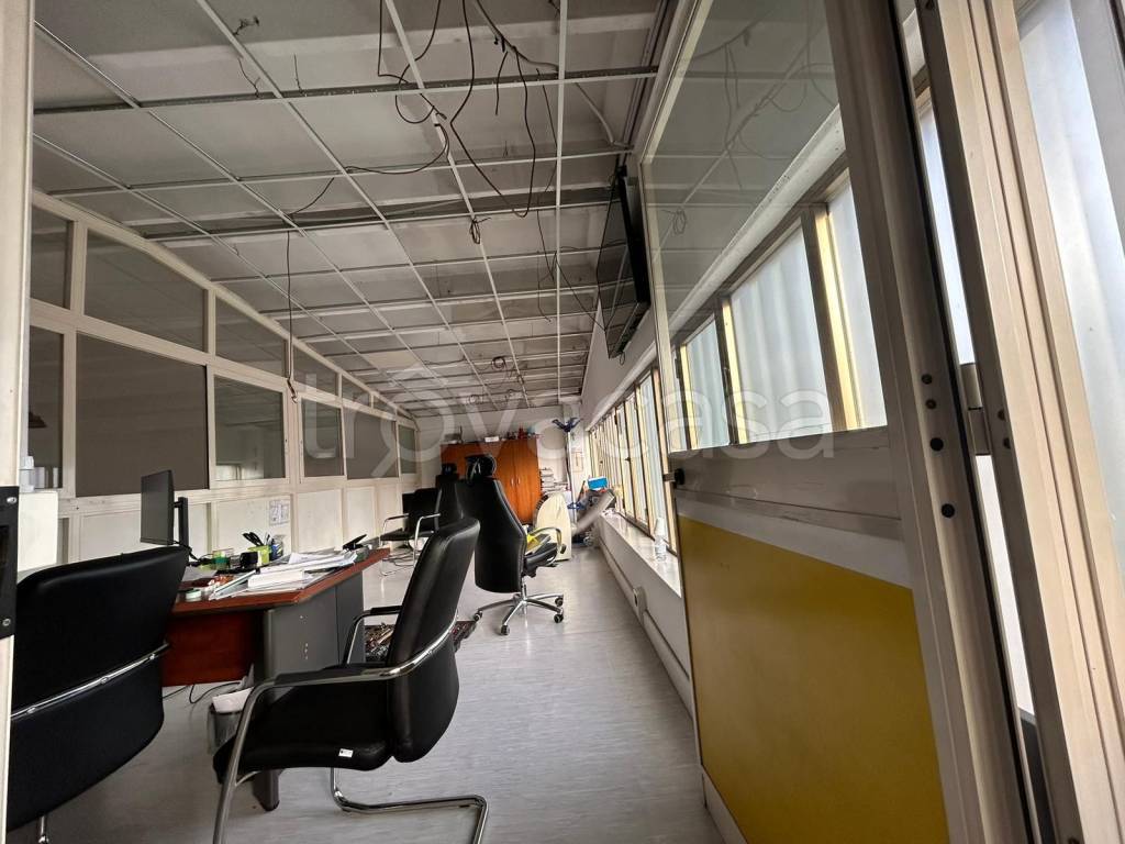 immagine annuncio 6 di 9