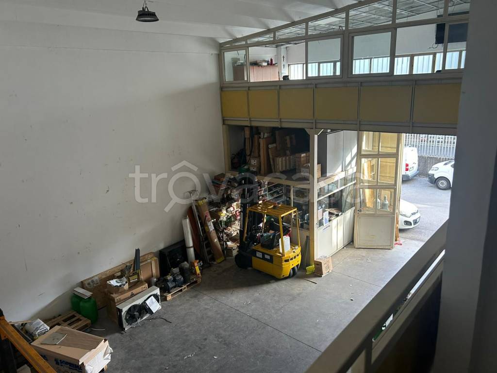 immagine annuncio 7 di 9