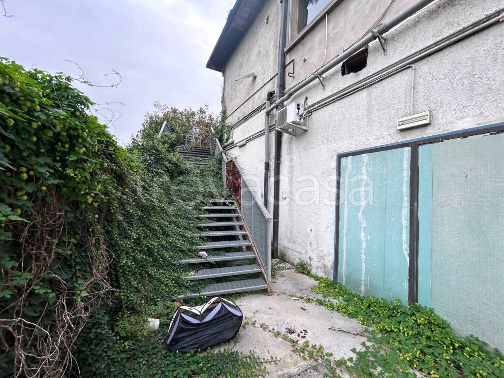 immagine annuncio 3 di 14