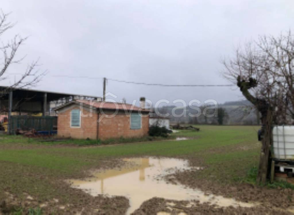 immagine annuncio 6 di 11