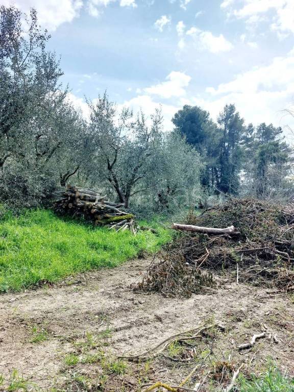 immagine annuncio 3 di 7