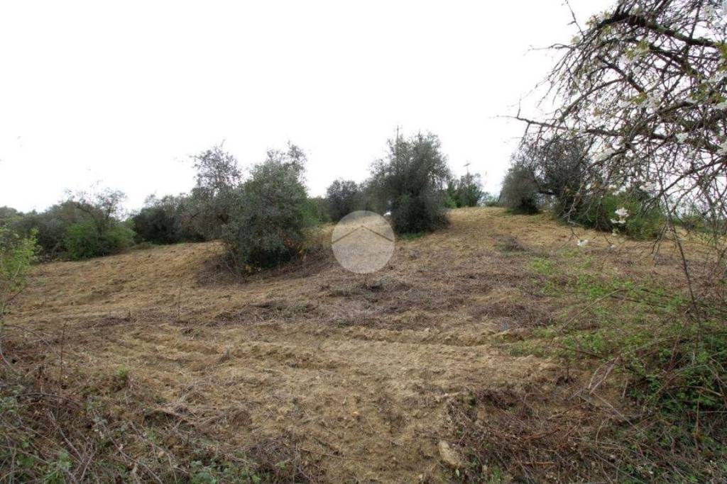 immagine annuncio 8 di 12
