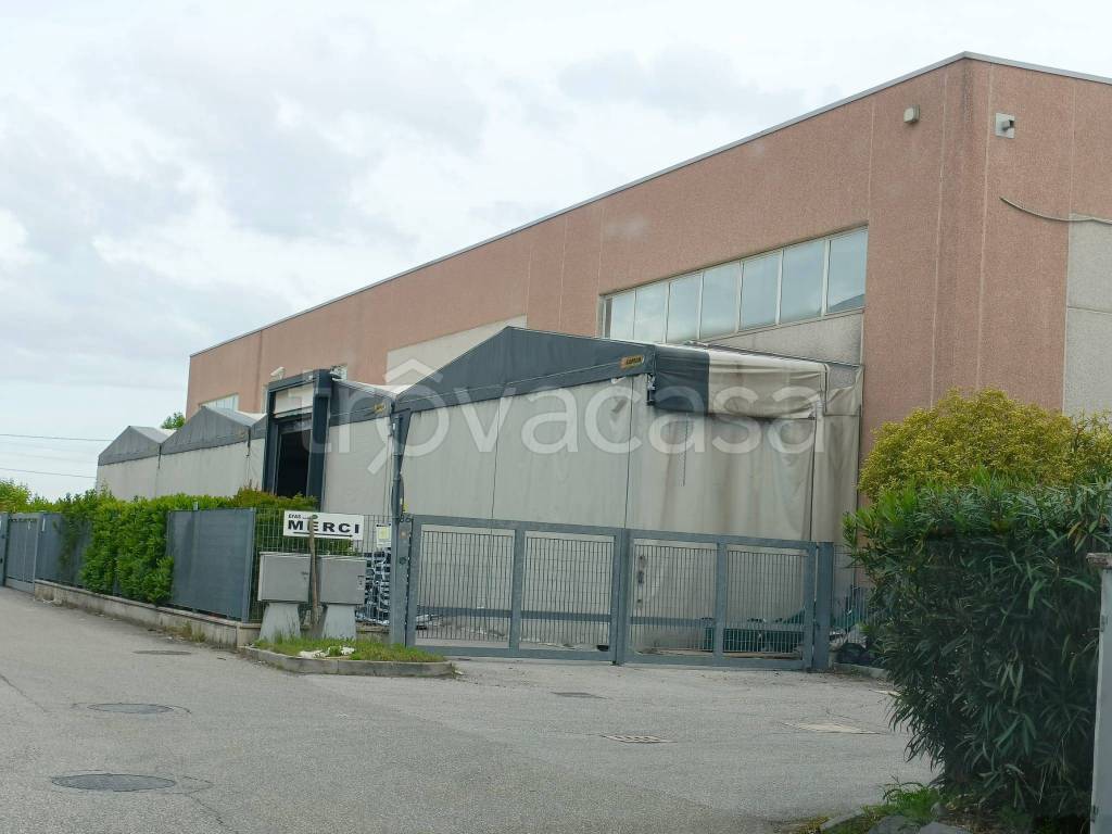 immagine annuncio 1 di 11