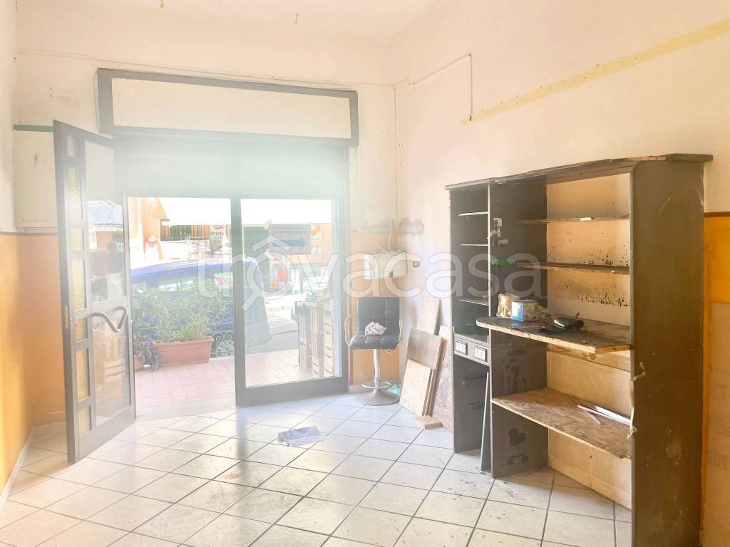 immagine annuncio 3 di 14