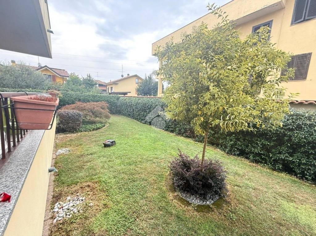 immagine annuncio 7 di 15