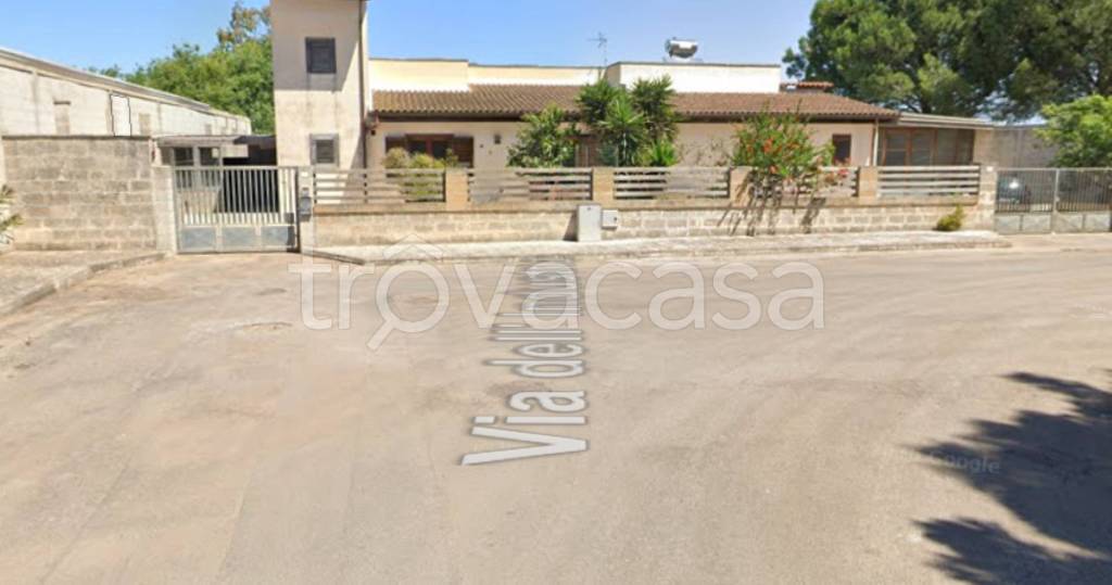 immagine annuncio 5 di 12