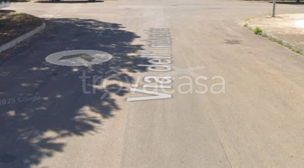 immagine annuncio 6 di 12