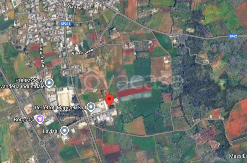 immagine annuncio 9 di 12