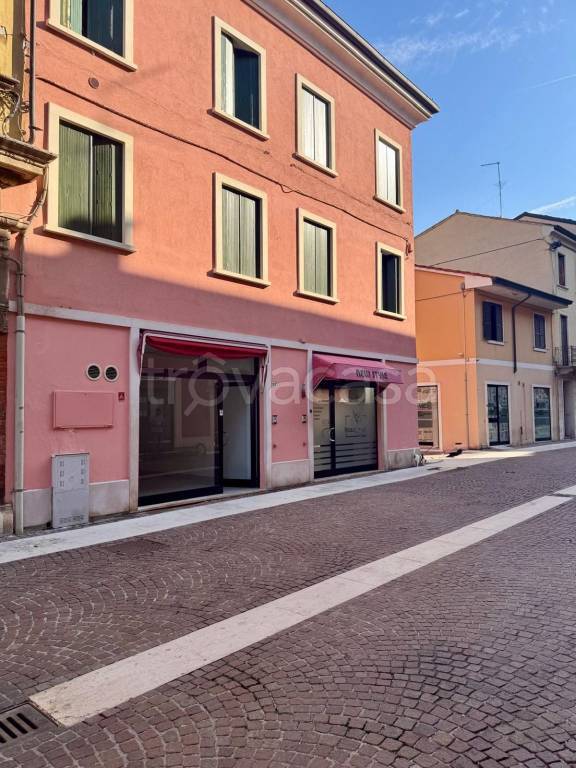 immagine annuncio 1 di 14