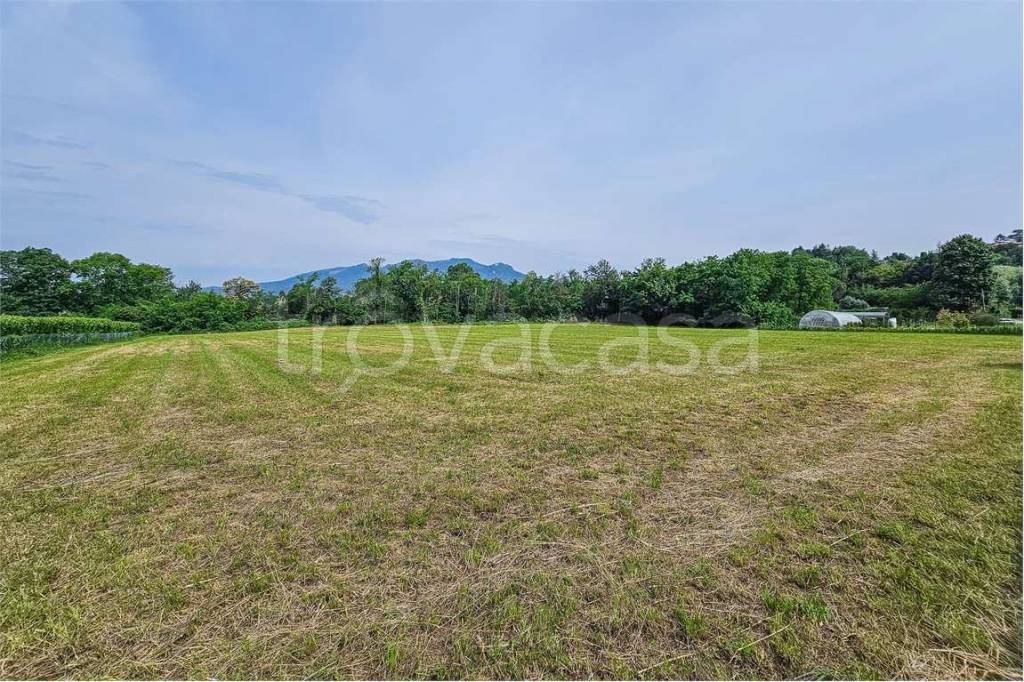 immagine annuncio 2 di 6