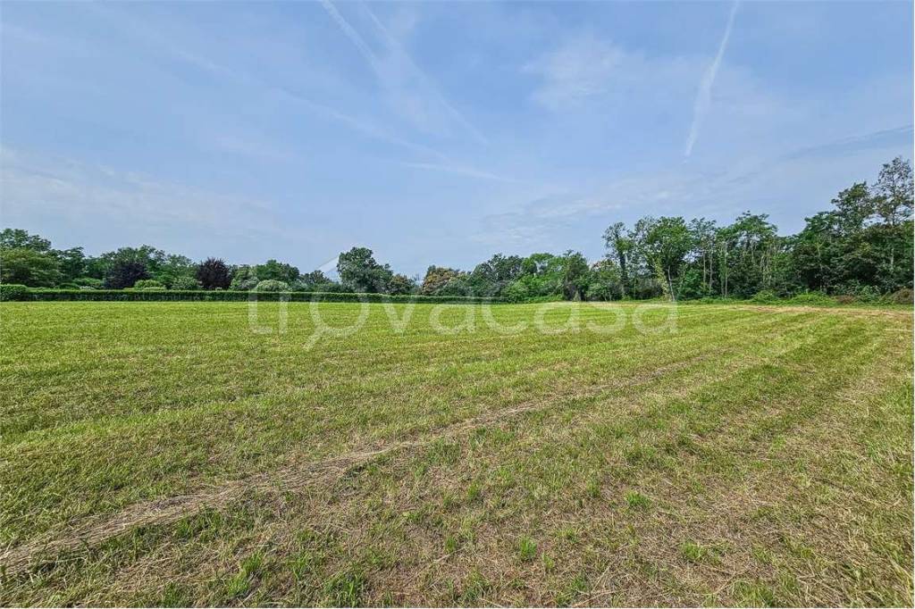 immagine annuncio 3 di 6