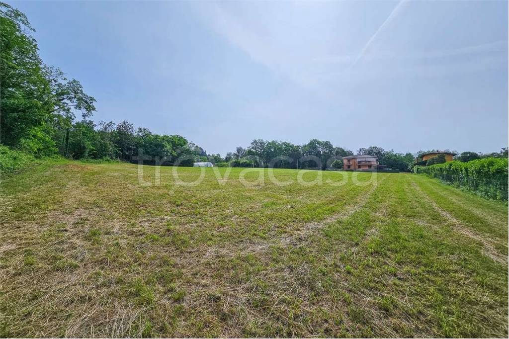 immagine annuncio 4 di 6