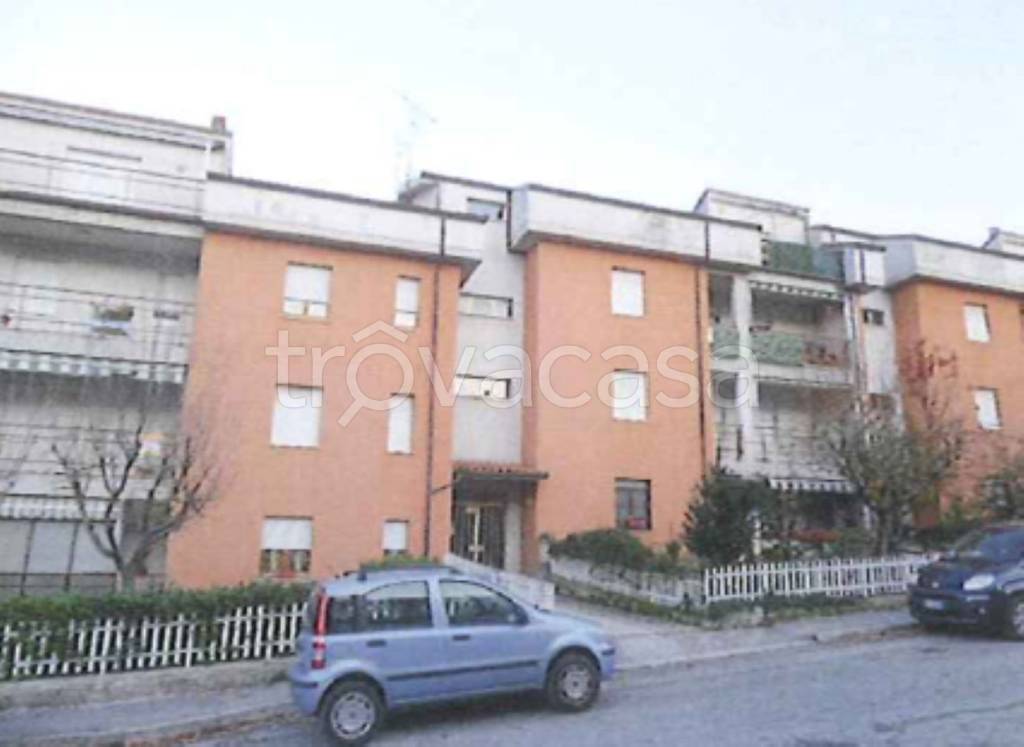immagine annuncio 1 di 11