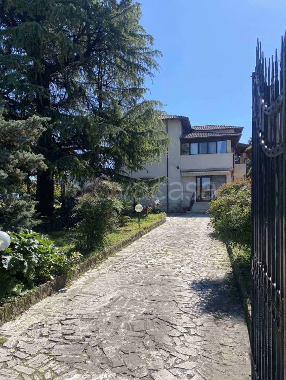 immagine annuncio 3 di 8