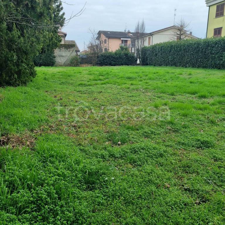 immagine annuncio 3 di 12