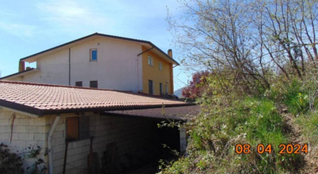 immagine annuncio 5 di 11