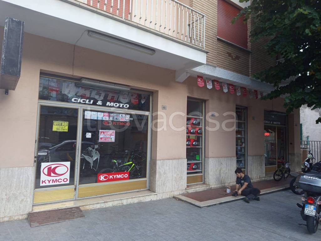 immagine annuncio 11 di 14
