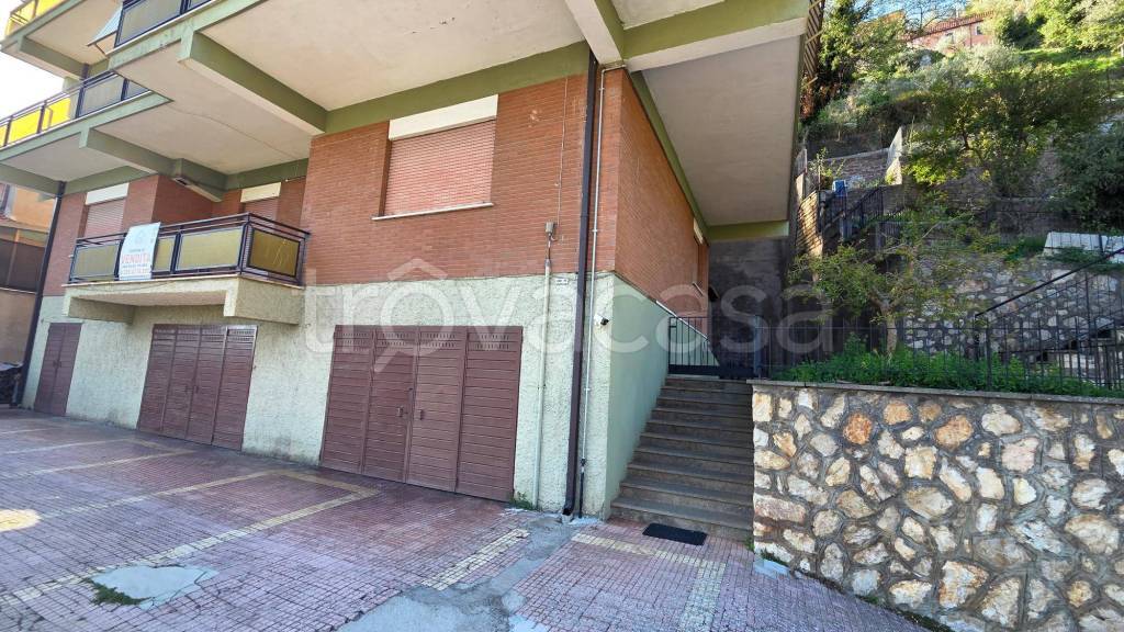 immagine annuncio 1 di 14