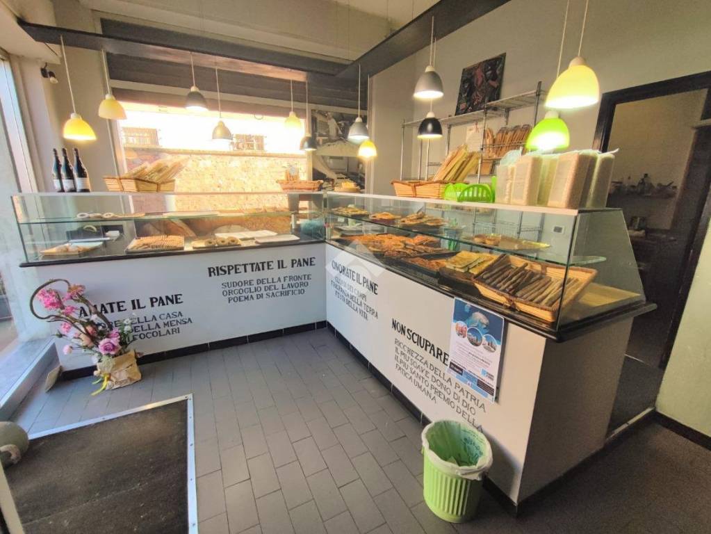 immagine annuncio 3 di 12