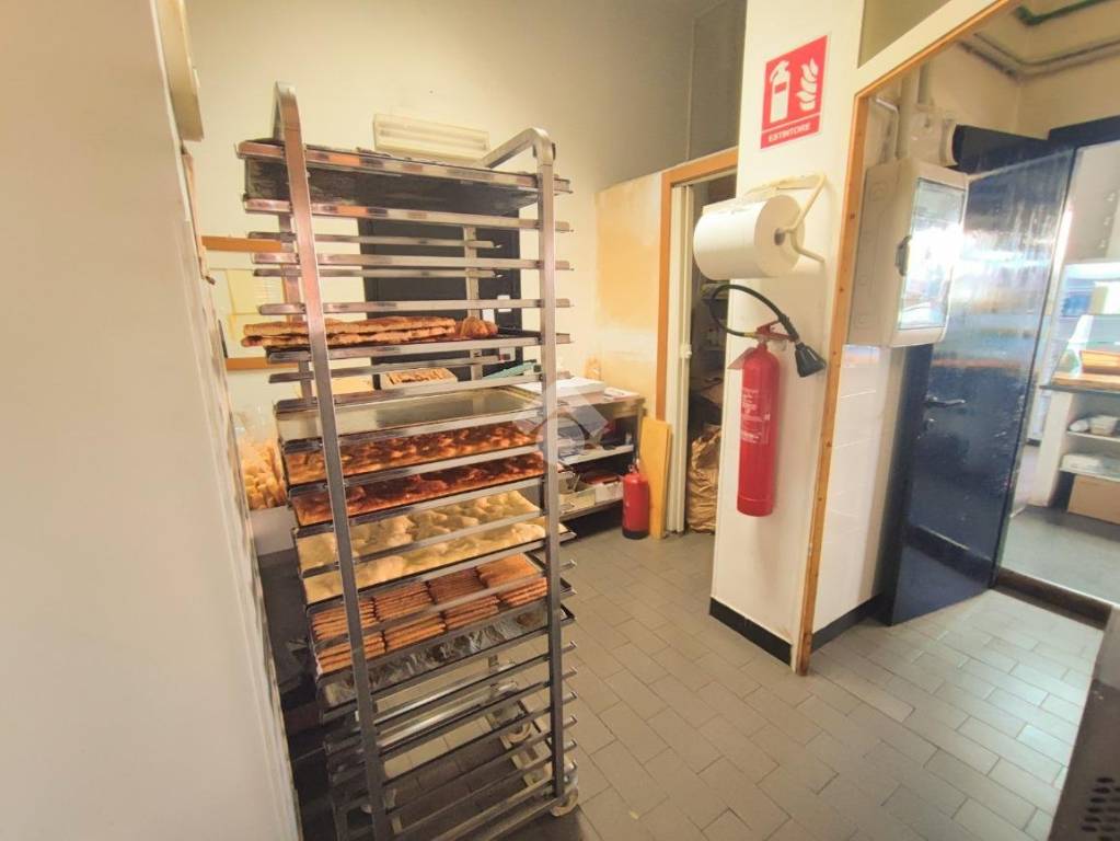 immagine annuncio 8 di 12