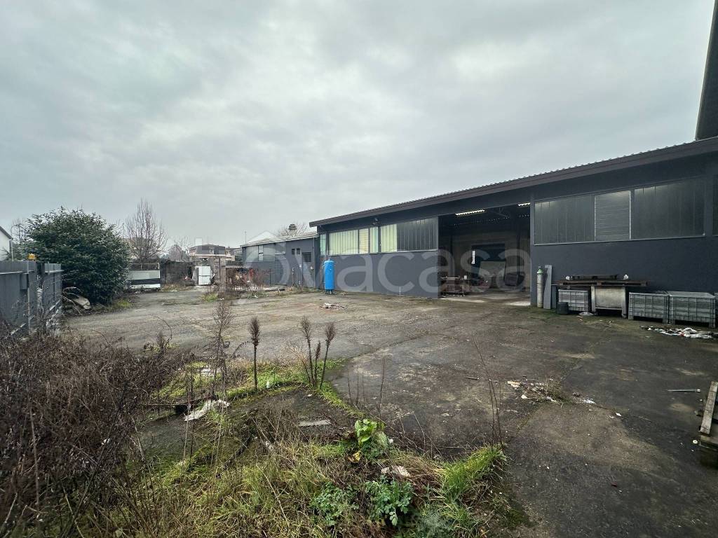 immagine annuncio 1 di 15