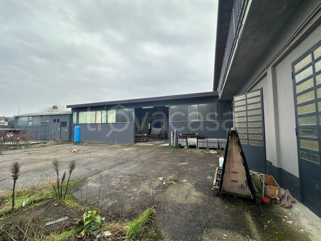 immagine annuncio 5 di 15