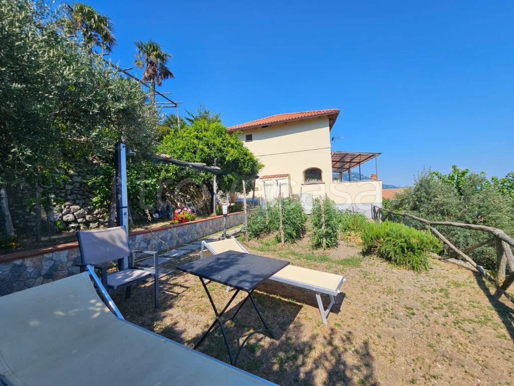 immagine annuncio 4 di 14