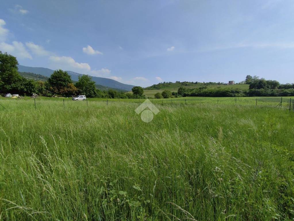 immagine annuncio 9 di 13