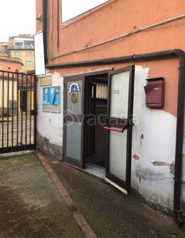 immagine annuncio 1 di 14