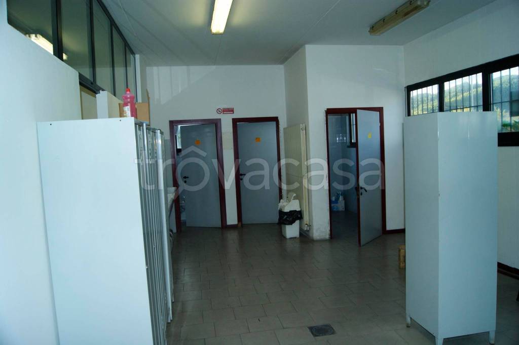 immagine annuncio 7 di 12