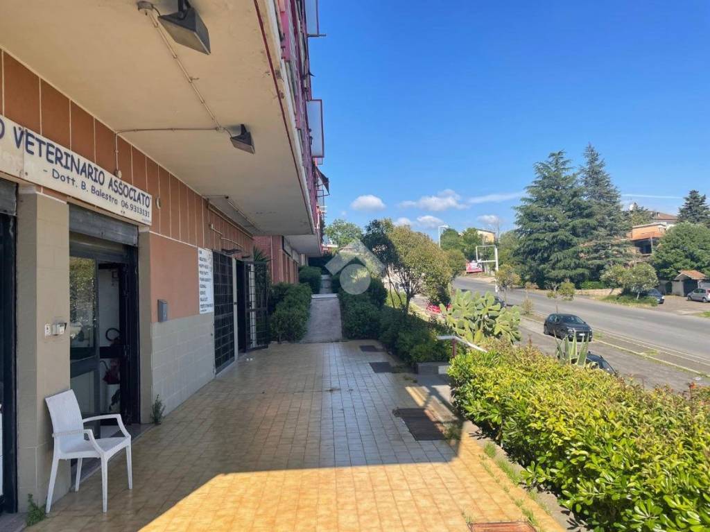 immagine annuncio 1 di 12